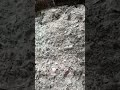 La ceniza en la agricultura