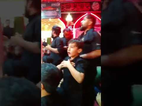 مراسم دیدنی اردبیلی ها در حرم مطهر حضرت عباس