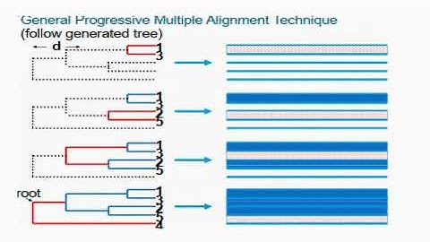 Progressive Multiple Sequence Alignment for Phylogenetic Tree
