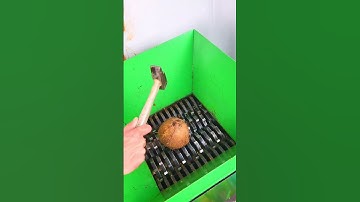 Poor George #memes #satisfying