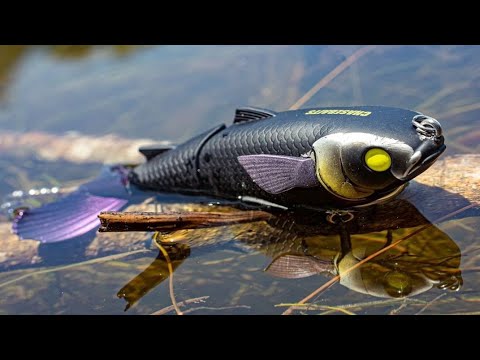 The Drunken Mullet - Multiple Lure Actions Fish Can't Resist