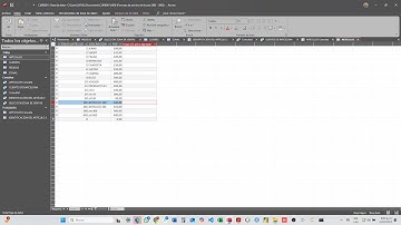 Consultas y Formularios con Microsoft Access