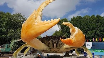 Thử Về Vuông Tôm Xổ Vuông Bắt Tôm Cua Cá NTN ?