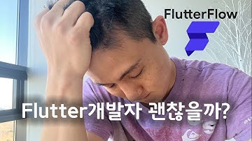 Flutter 개발자 그만 해야 하나요...??