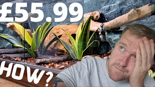 How Much My CHEAP Bioactive Ball Python Setup Cost