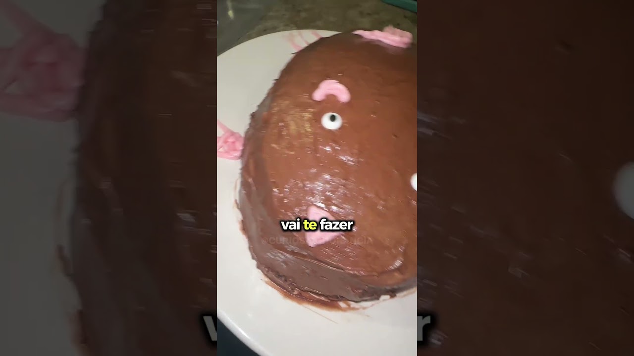 🐜 VOCÊ COME INSETOS E NÃO SABIA!