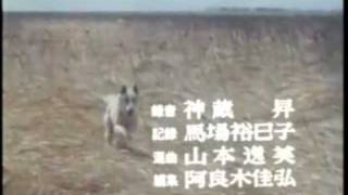 Video thumbnail of "黄金の犬 (Golden dog) 「この夢の果てまで」"