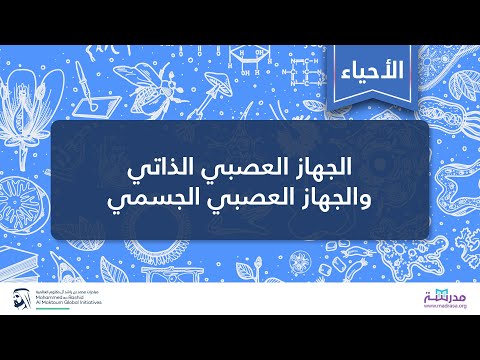 الجهاز العصبي الذاتي والجهاز العصبي الجسمي الأحياء التشريح وعلم وظائف الأعضاء