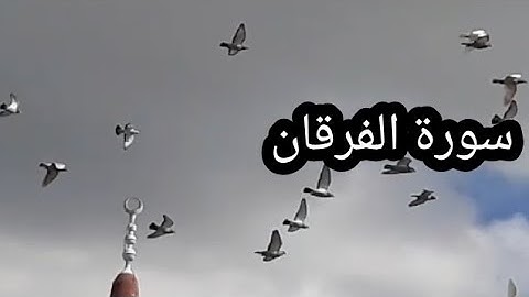 تلاوة لما تيسر من سورة الفرقان  للقارئ الشاب محمد عادل الامير 🌱🕊