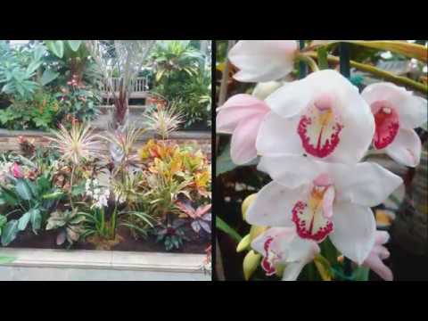 Planting Fields Arboretum - YouTube
