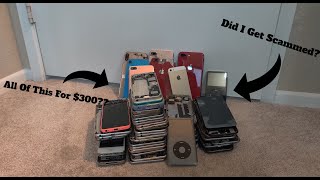 $300 100+ IPhone/IPod Lot