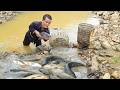 Dwarf Family Sets Traps and Catches a School of Perch in the Forest Stream | Survival Life