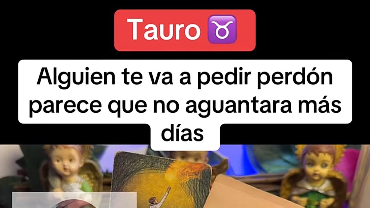 TAURO | ALGUIEN TE VA A PEDIR PERDÓN PARECE QUE NO AGUANTARÁ MÁS DÍAS ...