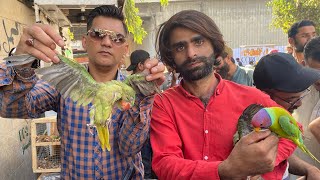 Sunday Lalukhet Birds Market main Garmi aur Nuqsaan | PBI Official