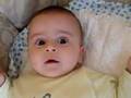 baby bebek