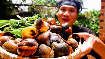 ỐC BƯU VÀNG " 3 MÓN " - KaTu Nguyễn