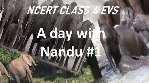 CLASS 4 EVS - Chapter : A Day with Nandu Part 1