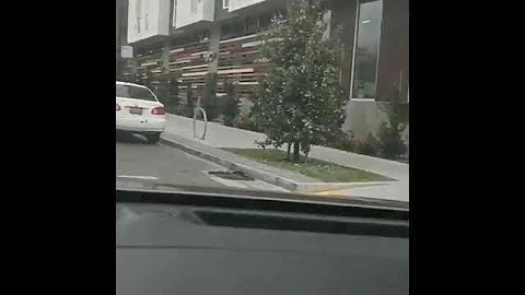 Continued building in Bayview Hunters Point. This is Parcel A, owned by Lennar.