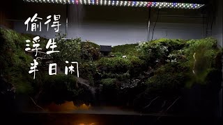 4 ft Paludarium with twin river stream 4 ft Paludarium with twin river stream
