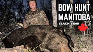 INCREDIBLE Manitoba Black Bear Hunt!
