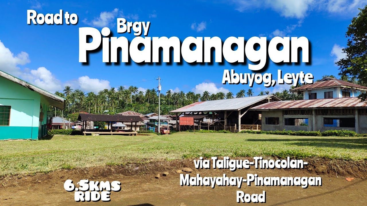 Brgy Pinamanagan. Abuyog mountain barangay.