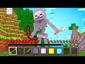 ИГРАЮ ЗА СКЕЛЕТА В МАЙНКРАФТ - БИТВА МОБОВ В Minecraft #1