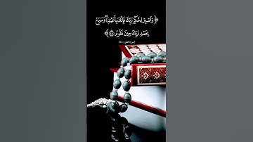 القرآن الكريم راحة نفسية تلاوة خاشعة عبد الباسط عبد الصمد حالات واتس اب دينية