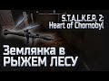 Схрон в землянке Рыжий лес в Сталкер 2 РПГ и снаряды