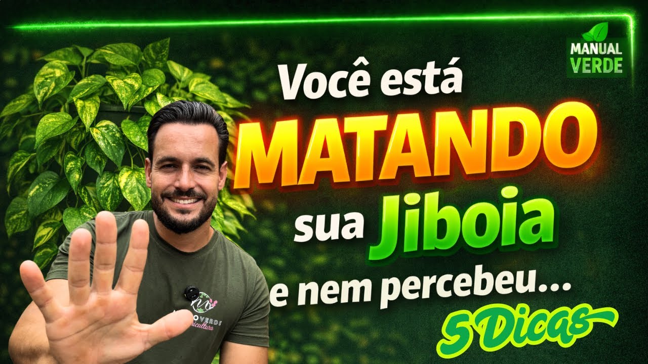 Manual verde da Jiboia , ambiente certo , Substrato , rega , poda e adubação . 