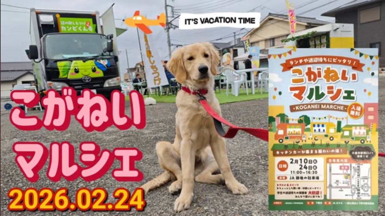 こがねいマルシェ（下野市）