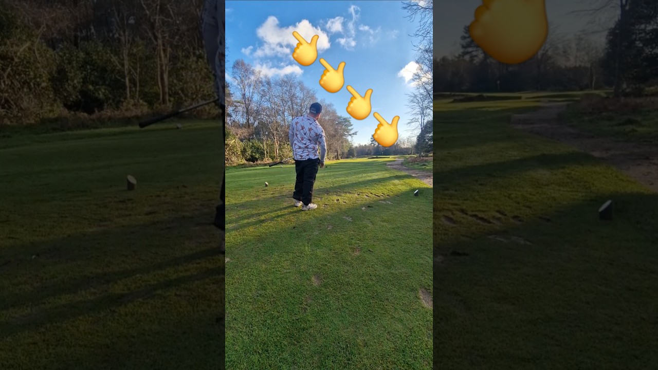 Play a par 3 with me a 24 handicapper ⛳️🏌‍♂️ 