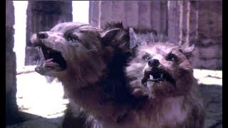 Two Headed Dog Attack Scene