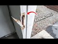 How to replace and repair broken door jamb kicked in or damaged  diy step by step tutorial easy fix