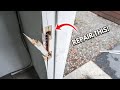 How To Replace And Repair Broken Door Jamb Kicked In Or Damaged | DIY Step By Step Tutorial Easy FIX