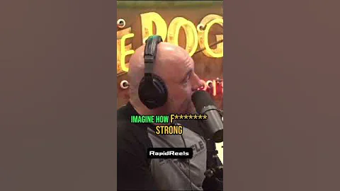 Army Ants builds a bridge to invade a Wasp Nest! #shorts #joeroganpodcast #ants