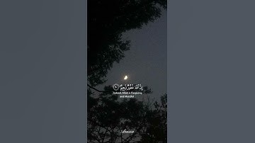 #قرآن#تلاوة_خاشعة||| واسغفروا الله....🤍||القارئ شريف مصطفى»