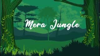 FLUST3R   Mera Jungle Official Audio 1080p