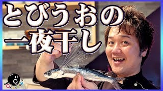 【夏】キャンプ・BBQで大活躍！簡単手軽にトビウオの一夜干しを作ろう！-絶品和朝食のグランピング 前編-【バーベキュー】【和食】【朝食】【魚】【開き】【さばく】【Ropia】【Ralu】Vol.122