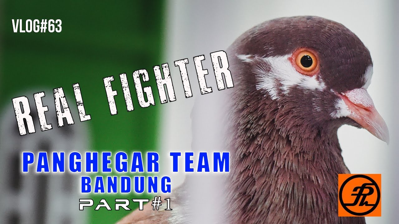 LUNA MAYA DI SARANG BUAYA - PANGHEGAR BANDUNG #PART 1