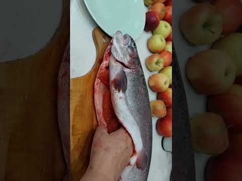 ФОРЕЛЬ.🐬 Бонус внутри