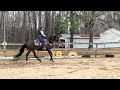 Class #22 Adult Ranch Rail Nicole Batchen riding Heir to the Throne