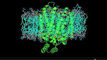 pfHT1 (6rw3_A) modelled in a bilayer of DPPC in GROMACS