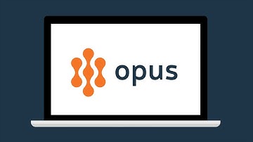 Anti-Bribery and Corruption Due Diligence Process Video