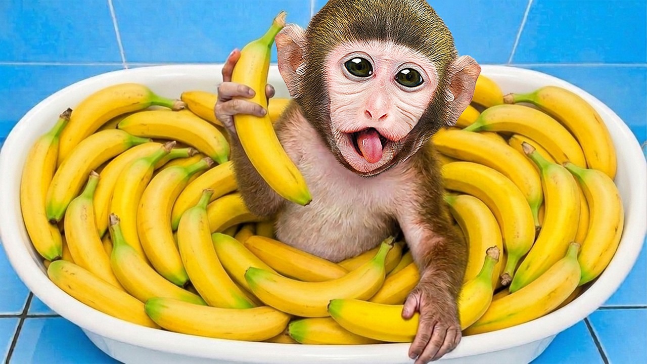 Mono MoMo Come Ricas BANANAS Con el Mono Bebe Y Se BAÑA En Casa 🐒🍌🛁 | MONO MOMO ESP