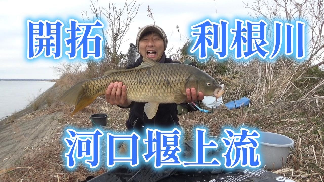 渡辺武の一緒に♥鯉釣りしませんか？～利根川開拓第二弾河口堰上流編の巻き～