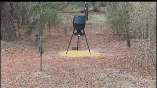 Bow hunting and setting up new blind.