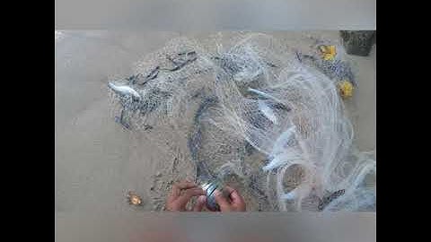 Throw Net Hawaii - Kaleo - 11-19-21