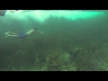 Goprodeepboard