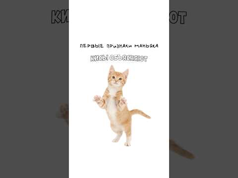 Первые признаки маньяка. #shorts