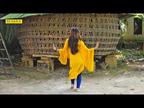 ভিডিও: ডেনস ডাইকে কি?